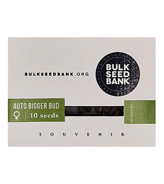 Auto Bigger Bud > Bulk Seed Bank | Semillas autoflorecientes  |  Híbrido