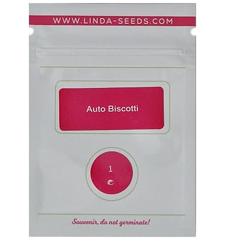 Auto Biscotti > Linda Seeds | Autoflowering Cannabis   |  Indica