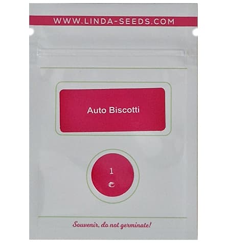 Auto Biscotti > Linda Seeds | Autoflowering Hanfsamen  |  Indica