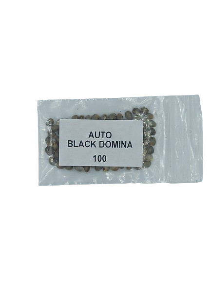 Auto Black Domina > Bulk Seeds | Autoflowering Cannabis   |  Indica