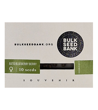 Auto Blueberry Berry > Bulk Seed Bank | Graines Autofloraison  |  Hybride