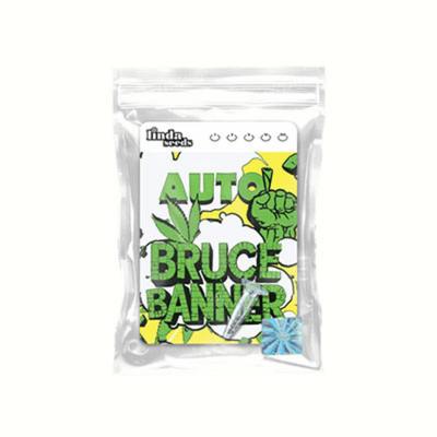 Auto Bruce Banner Seed > Linda Seeds | Cannabis seeds recommendations  |  Cheap Cannabis