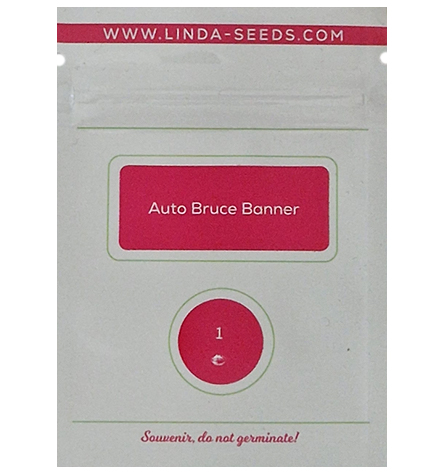 Auto Bruce Banner > Linda Seeds | Recomendaciones para las semillas  |  Semillas Baratas