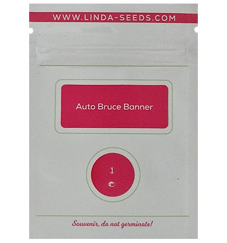 Auto Bruce Banner > Linda Seeds | Cannabis seeds recommendations  |  Cheap Cannabis