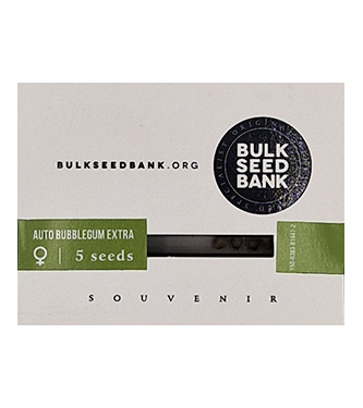 Auto Bubblegum Extra > Bulk Seed Bank | Autoflowering Hanfsamen  |  Hybrid