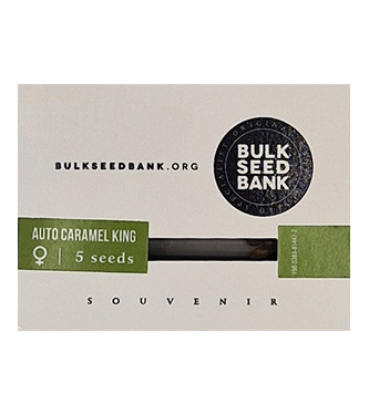 Auto Caramel King > Bulk Seed Bank | Semillas autoflorecientes  |  Híbrido