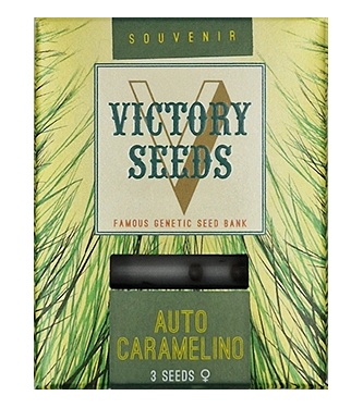 Auto Caramelino > Victory Seeds | Graines Autofloraison  |  Hybride