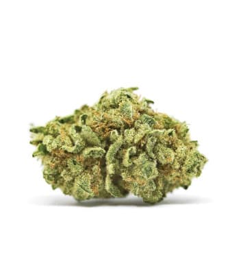 Auto CBD White Widow > Bulk Seed Bank | CBD cannabis seeds  |  Hybrid