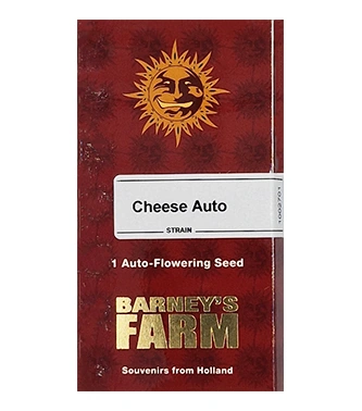 Auto Cheese > Barneys Farm | Semillas autoflorecientes  |  Índica