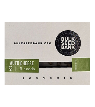 Auto Cheese > Bulk Seed Bank | Autoflowering Hanfsamen  |  Hybrid