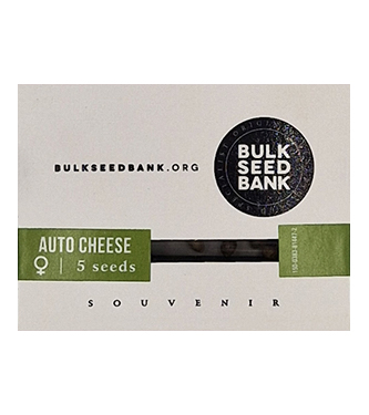 Auto Cheese > Bulk Seed Bank | Graines Autofloraison  |  Hybride