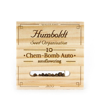 Auto Chem Bomb > Humboldt Seed Organisation | Graines Autofloraison  |  Indica