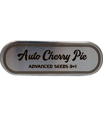 Auto Cherry Pie > Advanced Seeds | Autoflowering Hanfsamen  |  Sativa