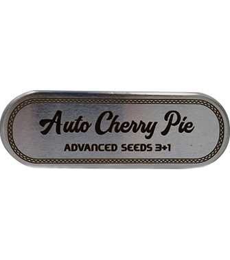 Auto Cherry Pie > Advanced Seeds | Semillas autoflorecientes  |  Sativa