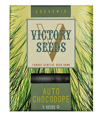 Auto Chocodope > Victory Seeds | Autoflowering Cannabis   |  Hybrid