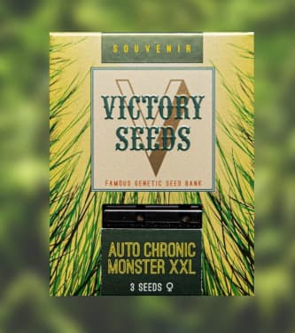 Auto Chronic Monster XXL > Victory Seeds | Autoflowering Cannabis   |  Hybrid