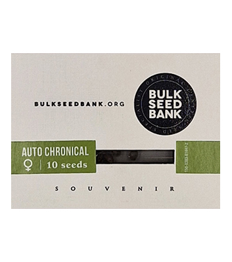 Auto Chronical > Bulk Seed Bank | Autoflowering Hanfsamen  |  Hybrid