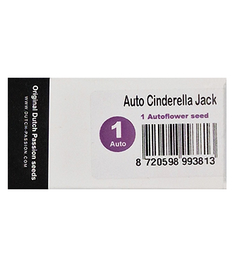 Auto Cinderella Jack > Dutch Passion | Graines Autofloraison  |  Hybride