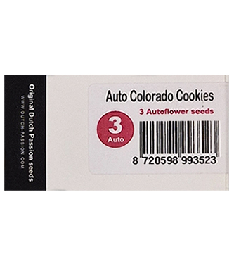 Auto Colorado Cookies > Dutch Passion | Autoflowering Hanfsamen  |  Indica