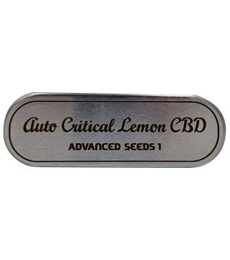 Auto Critical Lemon CBD > Advanced Seeds | CBD cannabis seeds  |  Hybrid