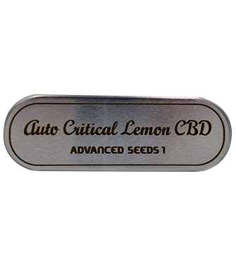 Auto Critical Lemon CBD > Advanced Seeds | Medizinische Hanfsamen (CBD)  |  Hybrid