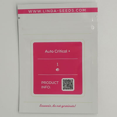 Auto Critical + > Linda Seeds | Cannabis seeds recommendations  |  Cheap Cannabis