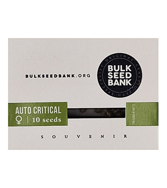 Auto Critical > Bulk Seed Bank | Graines Autofloraison  |  Hybride