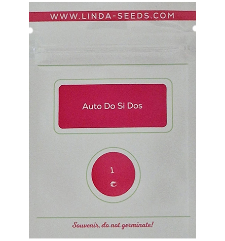 Auto Do Si Dos > Linda Seeds | Autoflowering Hanfsamen  |  Indica