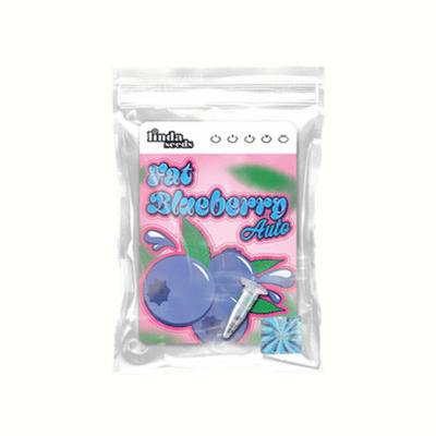 Auto Fat Blueberry Samen > Linda Seeds | Hanfsamen Empfehlungen  |  Günstige Hanfsamen