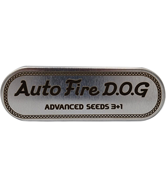 Fire DOG Auto > Advanced Seeds | Autoflowering Hanfsamen  |  Hybrid
