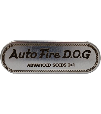 Fire DOG Auto > Advanced Seeds | Semillas autoflorecientes  |  Híbrido