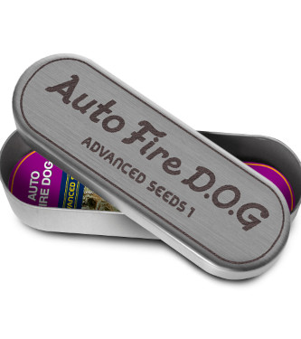 Fire DOG Auto > Advanced Seeds