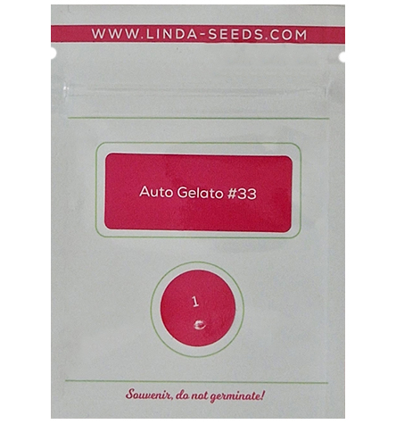 Auto Gelato #33 > Linda Seeds | Hanfsamen Empfehlungen  |  Günstige Hanfsamen