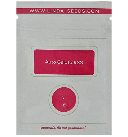 Auto Gelato #33 > Linda Seeds | NUESTRAS RECOMENDACIONES DE SEMILLAS DE MARIHUANA  |  Semillas Baratas