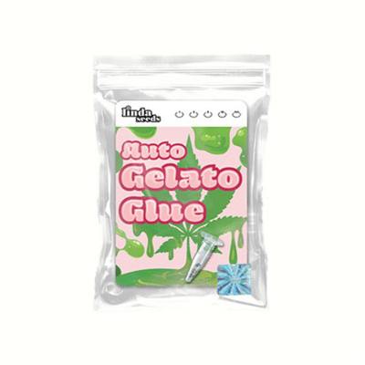 Auto Gelato Glue graines > Linda Seeds | Graines autoflo  |  Indica