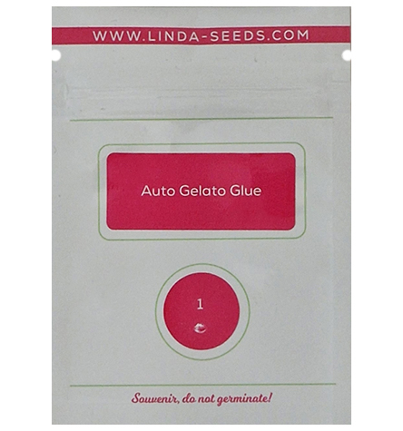 Auto Gelato Glue > Linda Seeds | Autoflowering Hanfsamen  |  Indica