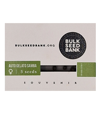 Auto Gelato Samba > Bulk Seed Bank | Semillas de marihuana autoflorecientes  |  Híbrido