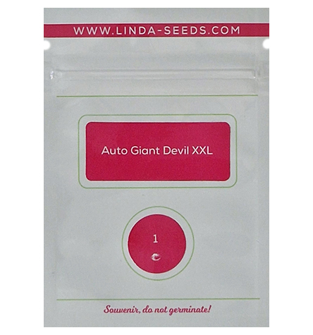 Auto Giant Devil XL > Linda Seeds | NOS RECOMMANDATIONS DE GRAINES DE CANNABIS  |  Graines de Cannabis à prix bas