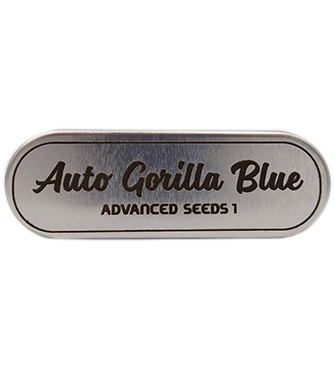 Auto Gorilla Blue > Advanced Seeds | Autoflowering Cannabis   |  Indica