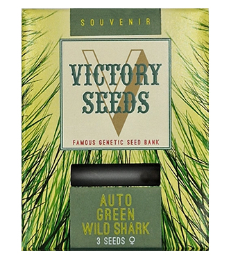 Auto Green Wild Shark > Victory Seeds | Autoflowering Hanfsamen  |  Hybrid