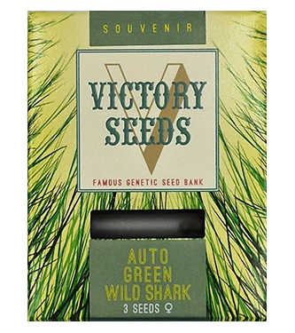 Auto Green Wild Shark > Victory Seeds | Semillas autoflorecientes  |  Híbrido