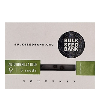 Auto Guerilla Glue > Bulk Seed Bank | Semillas autoflorecientes  |  Híbrido