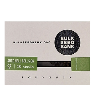 Auto Hell Bells OG > Bulk Seed Bank | Autoflowering Cannabis   |  Indica