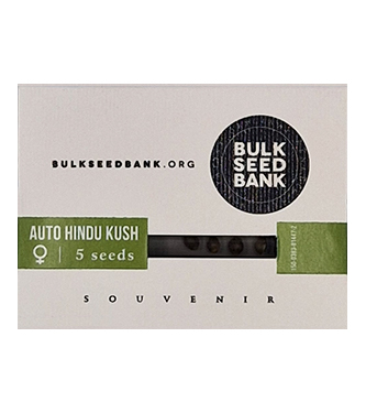 Auto Hindu Kush > Bulk Seed Bank | Autoflowering Hanfsamen  |  Indica