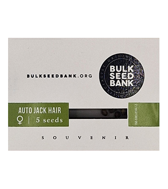 Auto Jack Hair > Bulk Seed Bank | Autoflowering Cannabis   |  Hybrid