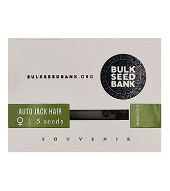 Auto Jack Hair > Bulk Seed Bank | Graines Autofloraison  |  Hybride