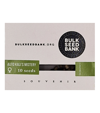 Auto Kali\'s Mistery > Bulk Seed Bank | Autoflowering Cannabis   |  Sativa
