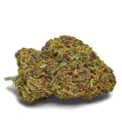 Auto Lavender Best > Bulk Seed Bank | Graines Autofloraison  |  Hybride