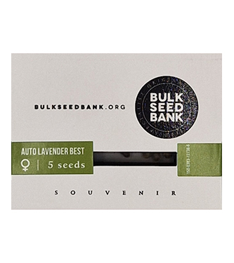 Auto Lavender Best > Bulk Seed Bank | Semillas autoflorecientes  |  Híbrido