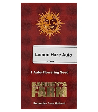 Auto Lemon Haze > Barneys Farm | Graines Autofloraison  |  Sativa